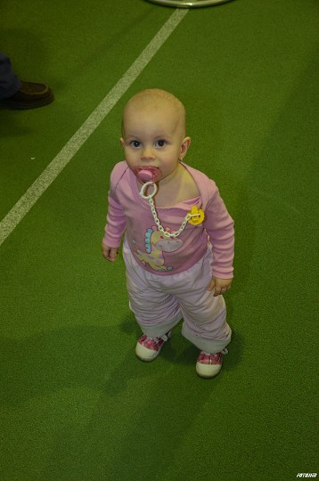 img00137.jpg