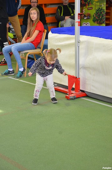 img00498.jpg