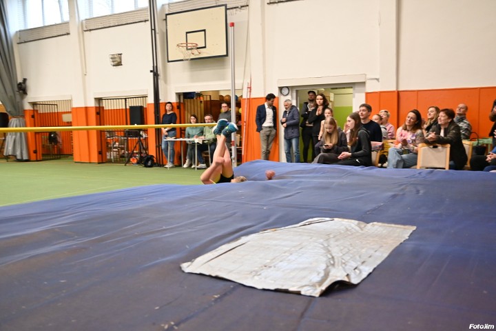 img01230.jpg