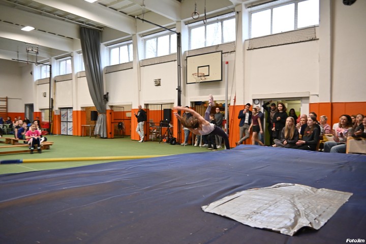 img01293.jpg