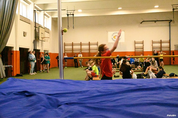 img00223.jpg