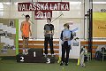 35. ročník Valašské laťky.