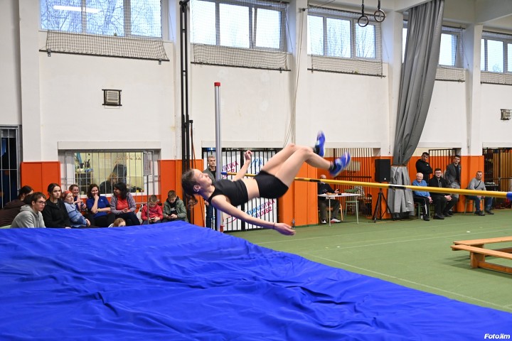 img03603.jpg