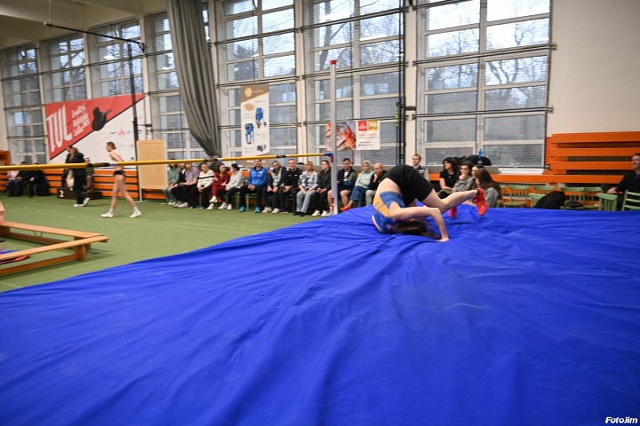 img03737.jpg
