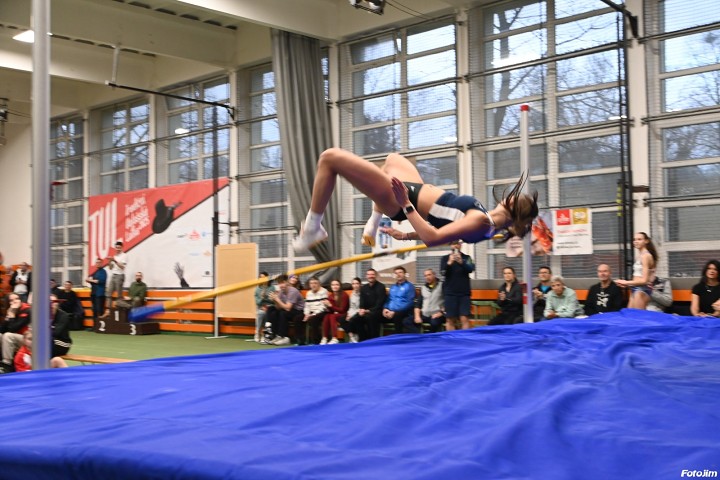 img03919.jpg